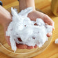 HOUSSE ALIMENTAIRE | PROTECT™ | CUISINE